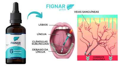 Fignar 12 meses de tratamento